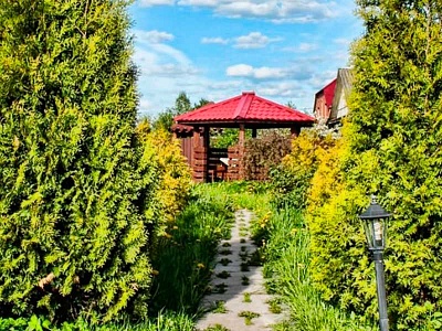 Реабилитация наркозависимых в Санкт-Петербурге